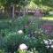 Apartament Janewiczówka D