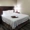 Hampton Inn & Suites Omaha-Downtown - Omaha