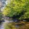 Whispering Creek