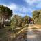 Agriturismo Podere Orzale Hospitality & Quarter Horses