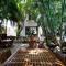 Hotel Casa Barbara Holbox