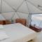 Forest Domes