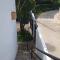 NEW MORINGA