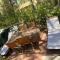 House pinus village
