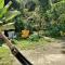 Hostel e Camping Rio das Pedras
