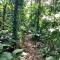 Hostel e Camping Rio das Pedras