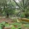 The Green Lizard Guesthouse