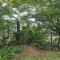The Green Lizard Guesthouse