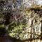Hogsback Hidden Away - 豪格斯拜克