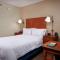 Hampton Inn Ann Arbor-South