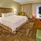 Hampton Inn and Suites Asheville Airport - Флетчер