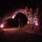 Willow's Rest - Barrydale