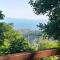 Mountain and Sea view
