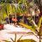 Utopia Guesthouse & Yoga Studio beachfront home - El Cuyo