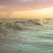 Utopia Guesthouse & Yoga Studio beachfront home - El Cuyo