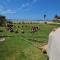 Mishol Bodas Hotel & Beach Club Acapulco Diamante