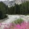 [Dolomiti] Paradiso in montagna nel verde  Sauna