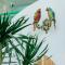 Pisces Hotel Hue