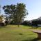 The Summer Haven