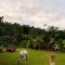 CHOCLINO ECOLODGE -Bungalows con Piscina privada, Mirador y Tours en la selva
