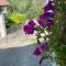 Charming two bedroom house - Strevi