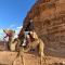 Wadi Rum Bubble Camp