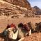 Wadi Rum Bubble Camp