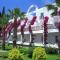 Natur Garden Hotel