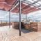 One bedroom luxury apartment (Gym, Wifi, Parking, Rooftop Deck)