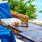 Allium Bodrum Resort & Spa - Yalıkavak