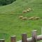 Albergo Diffuso Sauris in Sauris di Sotto - ساوريس