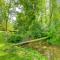Stunning Creekside Cosby Cabin with Deck and Fire Pit!