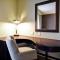 Hampton Inn & Suites Detroit-Canton - Canton