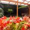 Thermal Garden