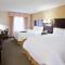 Hampton Inn & Suites Lino Lakes - Lino Lakes