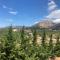 Enchanting Mycenae - Your Greek holiday retreat