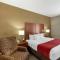 Comfort Inn & Suites - 拉皮德城