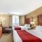 Comfort Inn & Suites - 拉皮德城