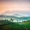 Grassroots Wayanad, Valley-view Tents