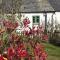 Lovely Cottage beside Surf Beaches & Bude Canal