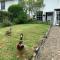 Lovely Cottage beside Surf Beaches & Bude Canal