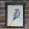 712@Rest - Dullstroom
