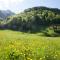 Alps Hoamat Ferienchalet