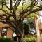 Luxury at a great price in San Miguel