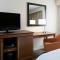 Hampton Inn Kansas City/Shawnee Mission - Shawnee