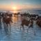 Hampton Inn & Suites Chincoteague-Waterfront, Va