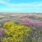 Sea View Fields Trearddur