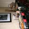 Hampton Inn & Suites Exmore - Eastern Shore