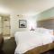 Hampton Inn Rochester - Rochester