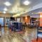 Hampton Inn Johnson City - Johnson City